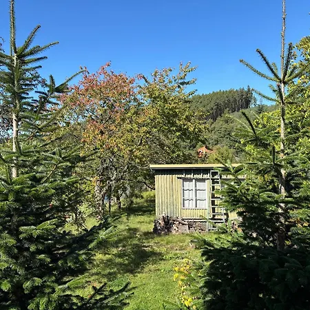 Cozy Container-house Dom wakacyjny *